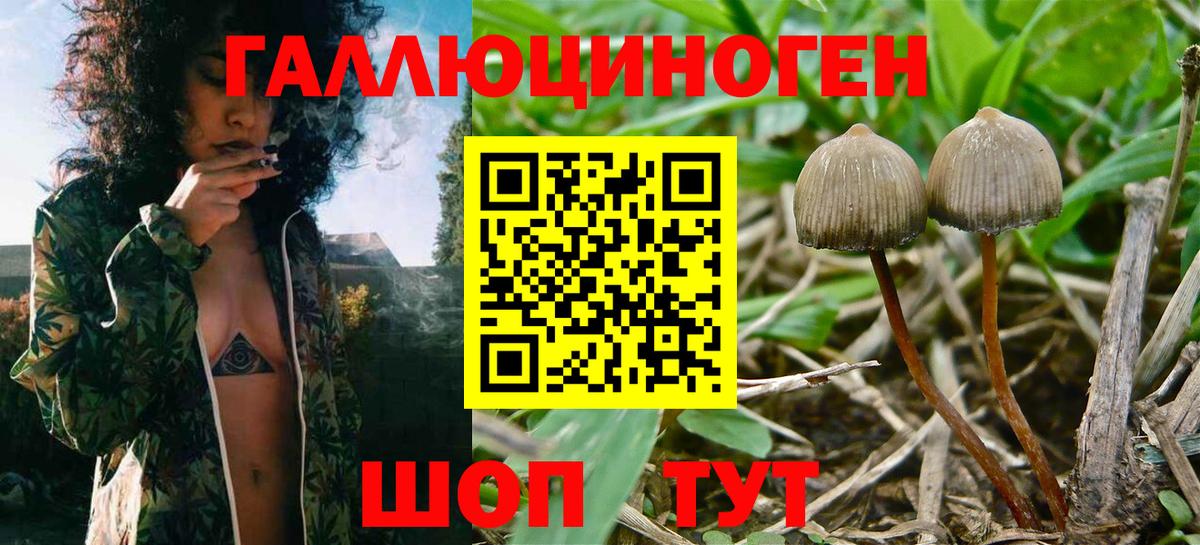 Галлюциногенные грибы Magic Shrooms Радужный