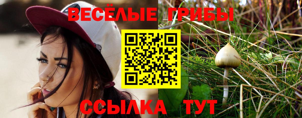 Галлюциногенные грибы MAGIC MUSHROOMS  Галлюциногенные грибы ЛСД  Радужный  сколько стоит  Вход с VPN 